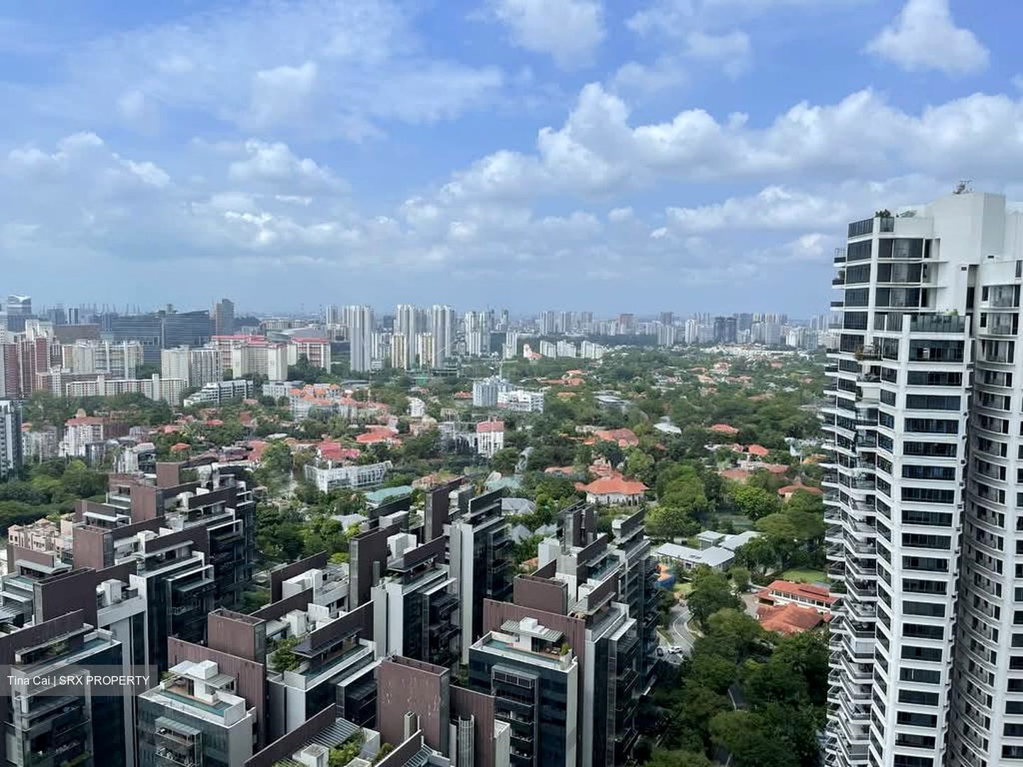 D'Leedon (D10), Condominium #612585441